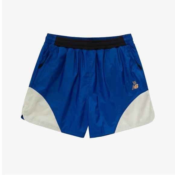 Aime Leon Dore Other - N E W ! Aime Leon Dore / New Balance Nylon Shorts (with tags)